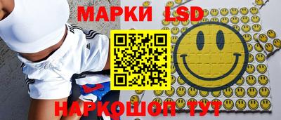 дмт Будённовск