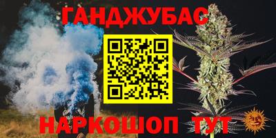 дмт Будённовск