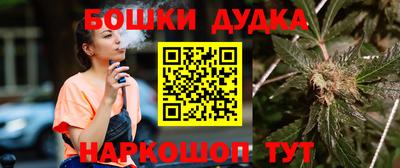 дмт Будённовск