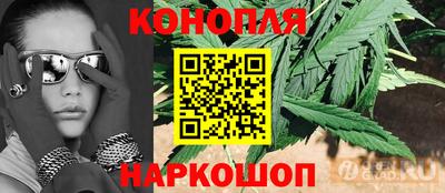 дмт Будённовск